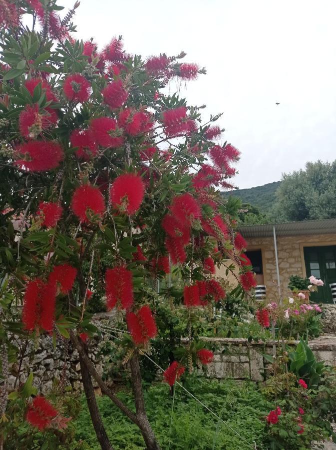 Villa Lidi Stavros  Exterior photo